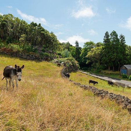 הוילה Calheta de Nesquim Casa Da Figueirinha מראה חיצוני תמונה